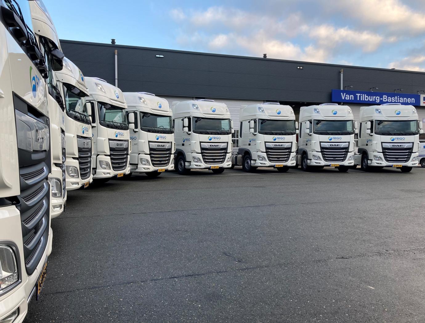 Frigo Group