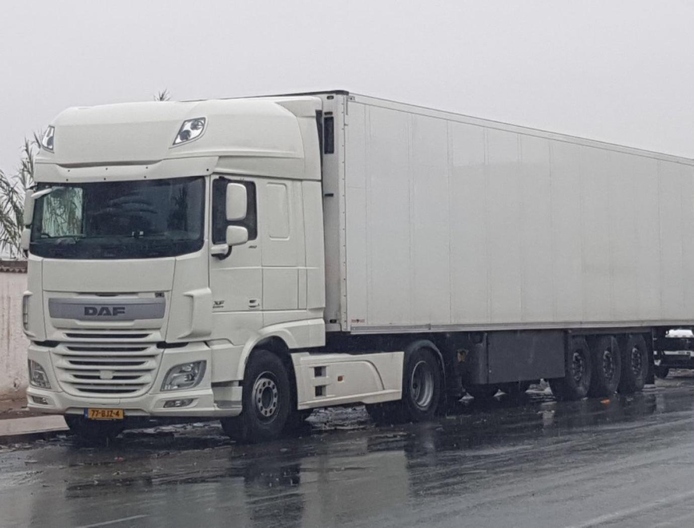 Prologics transport