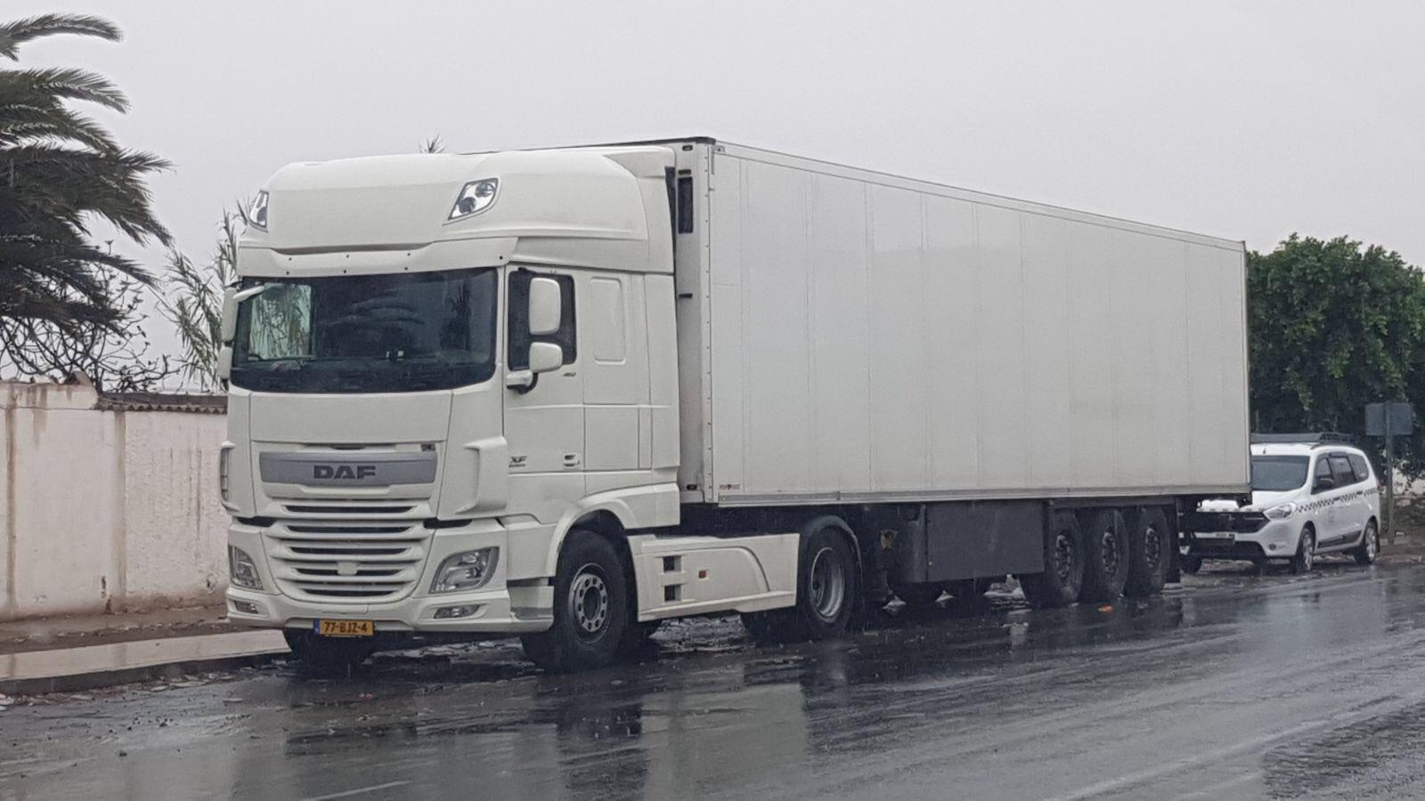 Prologics transport